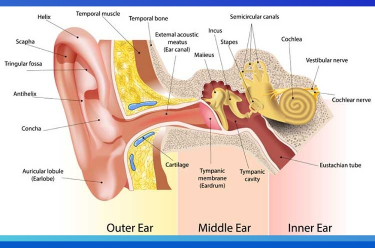 Ear Pain