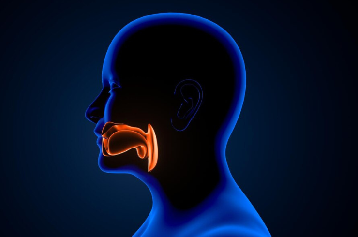 Submandibular Gland Surgery